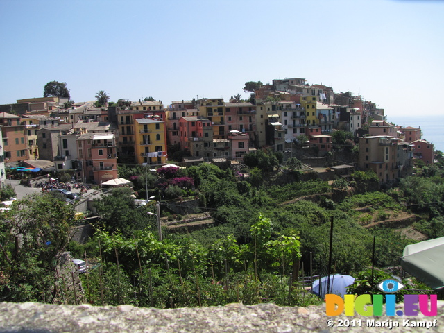 SX19669 Houses on hillside off Corniglia, Cinque Terre, Italy